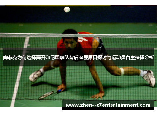 陶菲克为何选择离开印尼国家队背后深层原因探讨与运动员自主抉择分析