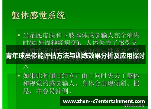 青年球员体能评估方法与训练效果分析及应用探讨